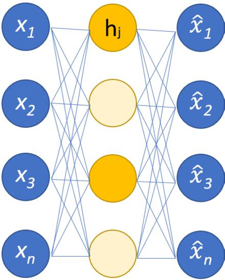 Autoencoder Wikipedia