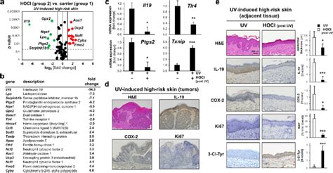 Topical Hocl Modulates Inflammatory And Redox Stress Response Gene