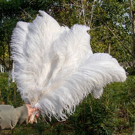 Plumas De Avestruz Blancas Naturales Cm Decoraci N Del Hogar Para