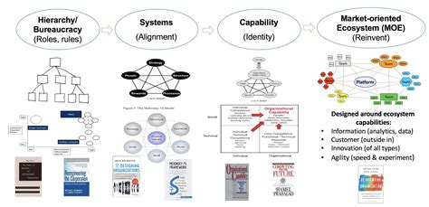 The Emergence Of The Market Oriented Ecosystem Moe Organization The