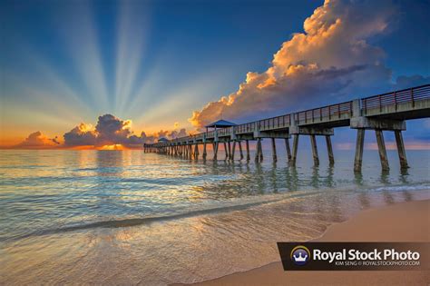 Juno Beach Pier Glorious Sunrise From The Beach Large 2022 Royal