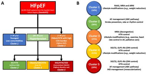 Jpm Free Full Text Personalized Management For Heart Failure With