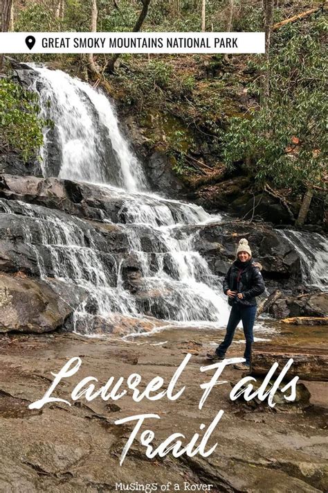 Hike the Laurel Falls Trail in the Smoky Mountains | Smoky mountains hiking, Laurel falls ...