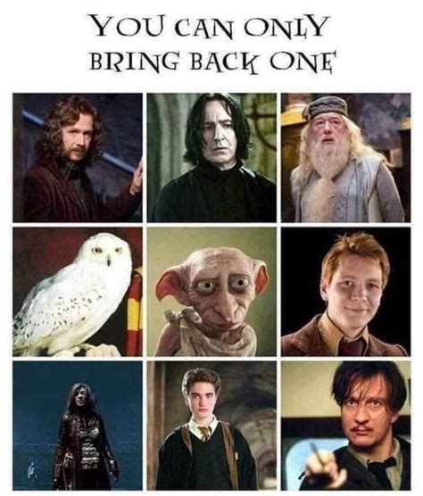 I’d choose Sirius(explanation in comments) : r/harrypotter