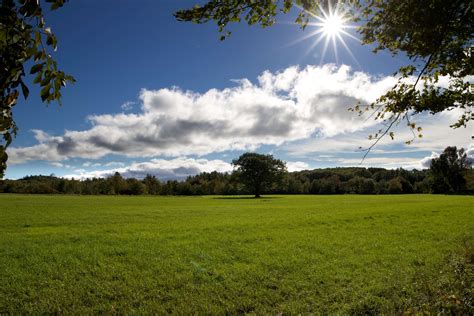 Branches Clouds Forest Glade Grass Green Ray Of Sunshine Sun Trees Woods 4k Wallpaper