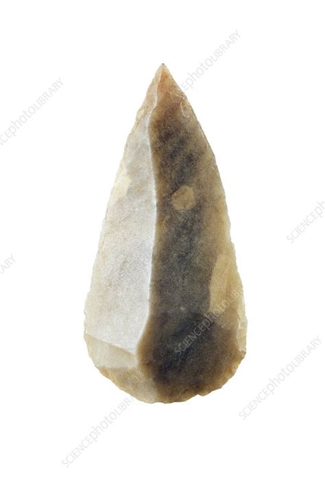 Neolithic Flint Spear Point Stock Image E436 0205 Science Photo