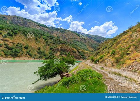 Tree By The River Landscape Of Uzbekistan Stock Photo Image Of