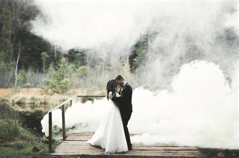 Beijando Os Pares Do Casamento Que Ficam Sobre A Paisagem Bonita Imagem