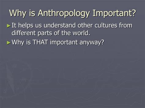 Ppt Anthropology Powerpoint Presentation Free Download Id3045289