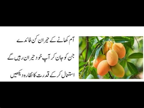 Aam Ke Fayde Health Benefits Of Mango In Urdu By Hakeem Sadi Ahmad