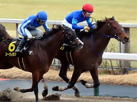 フェブラリーステークス 2022年2月20日の競馬日記 東京競馬場どっとこむ