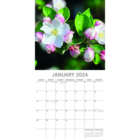 Calendrier Arbre En Fleur