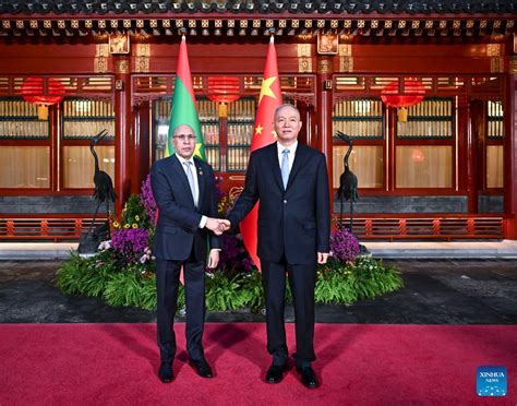 FOCAC Senior CPC Official Meets Mauritanian President Xinhua