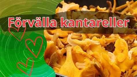 Förvälla kantareller - YouTube