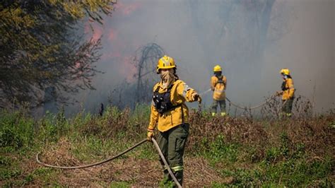 Brigadistas Forestales De Santa Fe Combaten Focos ígneos En Zona De