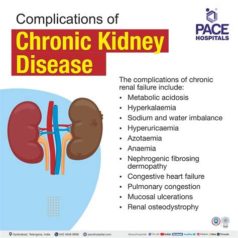 Chronic Kidney Disease Symptoms Stages Causes Risk Factors