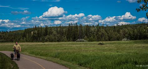 2016 Road Trip Calgary Alberta Fish Creek Provincial Flickr