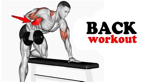 5 Effective Back Workout At Gym Exercises To Get V Shape Back Workout