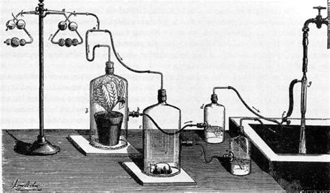 Metodo Cientifico Experimentos