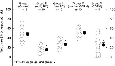 Myocardial Infarct Size In Groups I V Infarct Is Ex Pressed As A