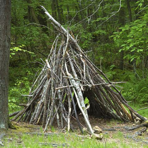 Survival Shelters 15 Best Designs And How To Build Them 56 OFF