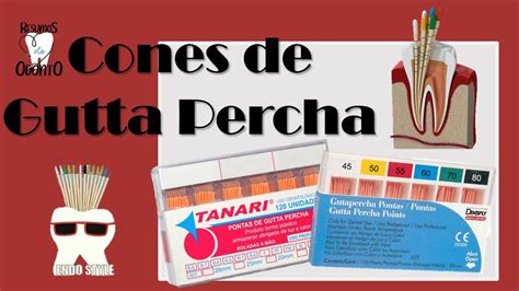 Cones De Gutta Percha Resumos De Odonto YouTube