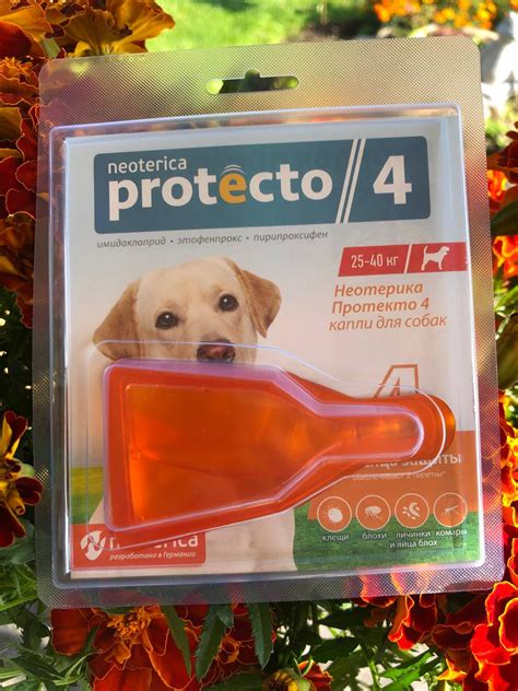 Капли на холку для кошек и собак - NEOTERICA PROTECTO отзывы - Товары ...