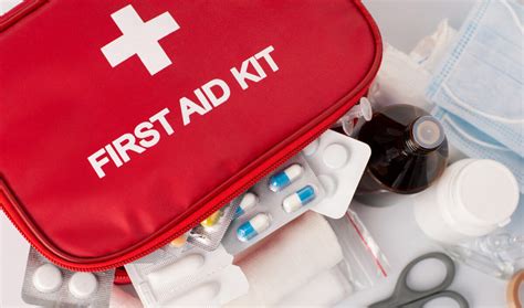 aid family health diary