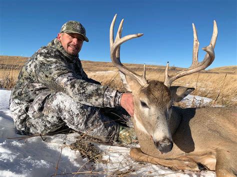 Alberta Canada Whitetail Deer Hunting Willow Creek Outfitters