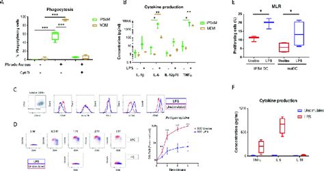 Phenotypic Characterization Of Macrophages And Dendritic Cells A