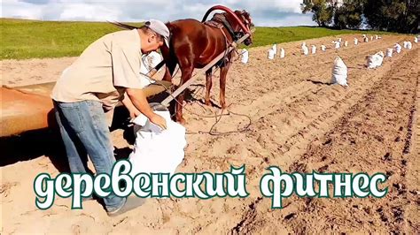 Убераем картошку от рассвета до заката#влог##жизньвдеревне# ...