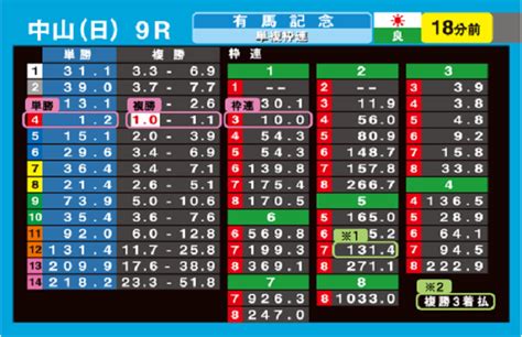 競馬のオッズの計算はどうするの？ 算出方法を徹底解説！