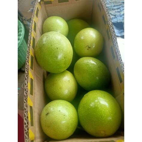 Jual Jual Buah Markisa Segar Per 2 Kg Termurah Shopee Indonesia