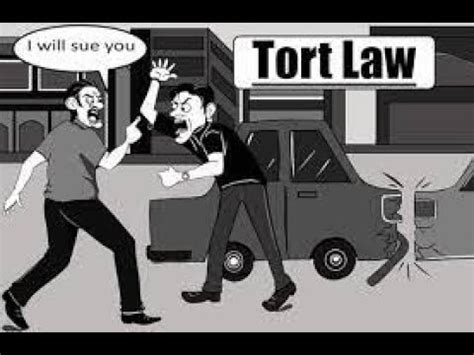 Wrongful Act In Law Of Torts Definition And Example Youtube