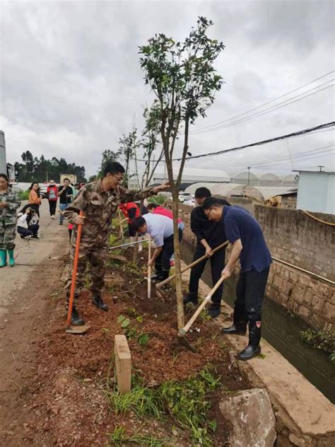 嵩明县开展2024年全民义务植树活动 关注森林