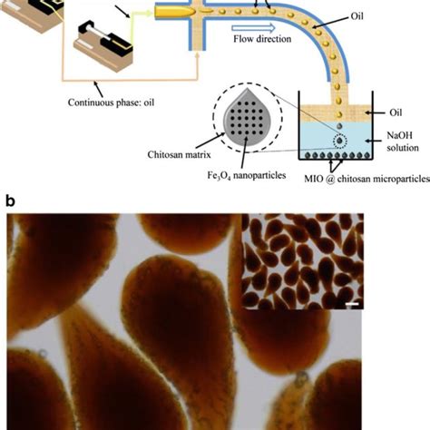 A A 3d Schematic Of The Magnetically Driven Droplet Generation Design