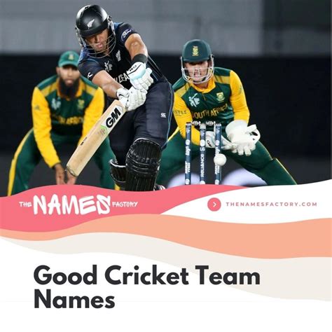 240+ Top Cricket Team Names for Your Squad