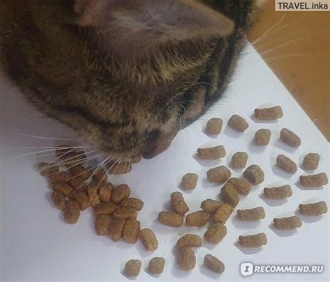 Корм для стерилизованных кошек и кастрированных котов PURINA ONE сухой ...