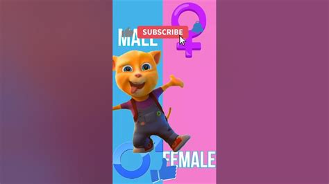 Talking Tom Genderswap Edit Shorts ️ Tom ️ Angela ️ Ben ️ Hank ️ Ginger