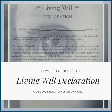 Living Will And Testament Template Template 2 Resume Examples N8vz3ma42w