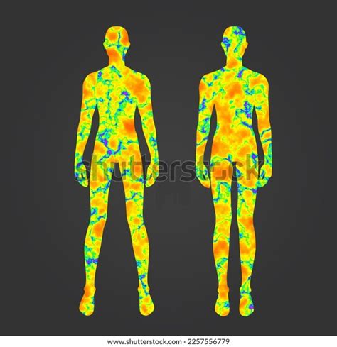 Thermal Map Temperature Meter Body Stock Illustration 2257556779 | Shutterstock