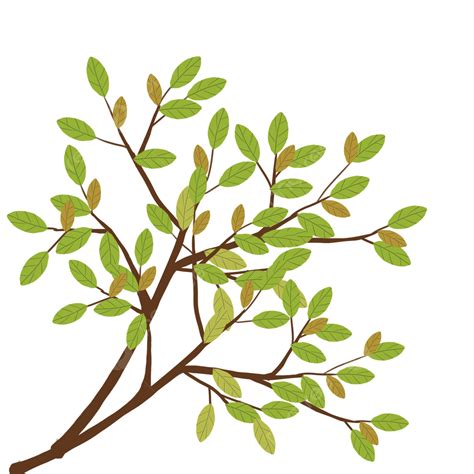 Branches And Leaves PNG Transparent Branches And Leaves Tree Branch