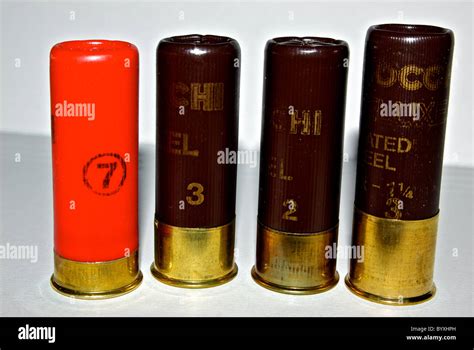 12 Gauge Shotgun Shell Sizes