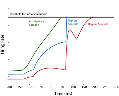 5 Saccade Timecourses Of The Three Different Types Of Saccades The