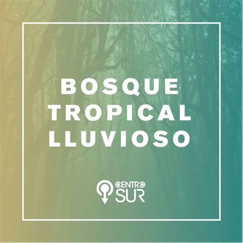 Bosque Tropical Lluvioso Playlist By Cultura Centrosur Spotify