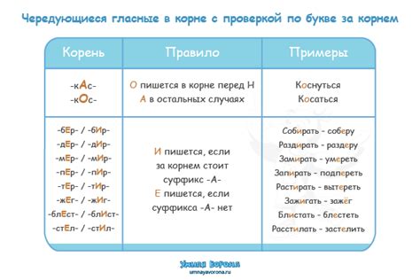 5 способов запомнить чередование гласных в корнях