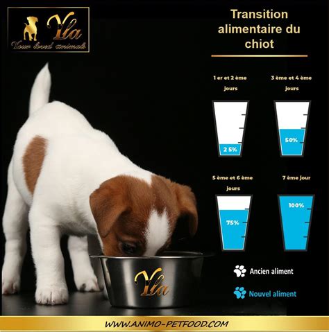 Alimentation Du Chiot La Transition Alimentaire