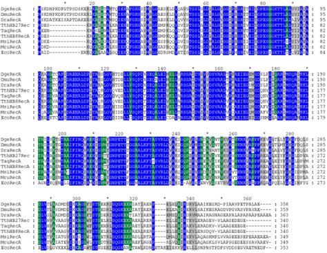 Multiple Sequence Alignment Of Reca Proteins From Bacteria Belonging To