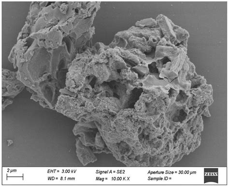 一种菌棒生物炭固定化菲降解菌剂及其制备方法与应用