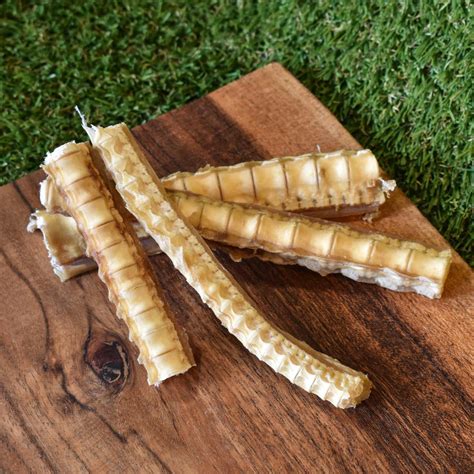 Shark Cartilage: Benefits, Side Effects, and Safety – Health and